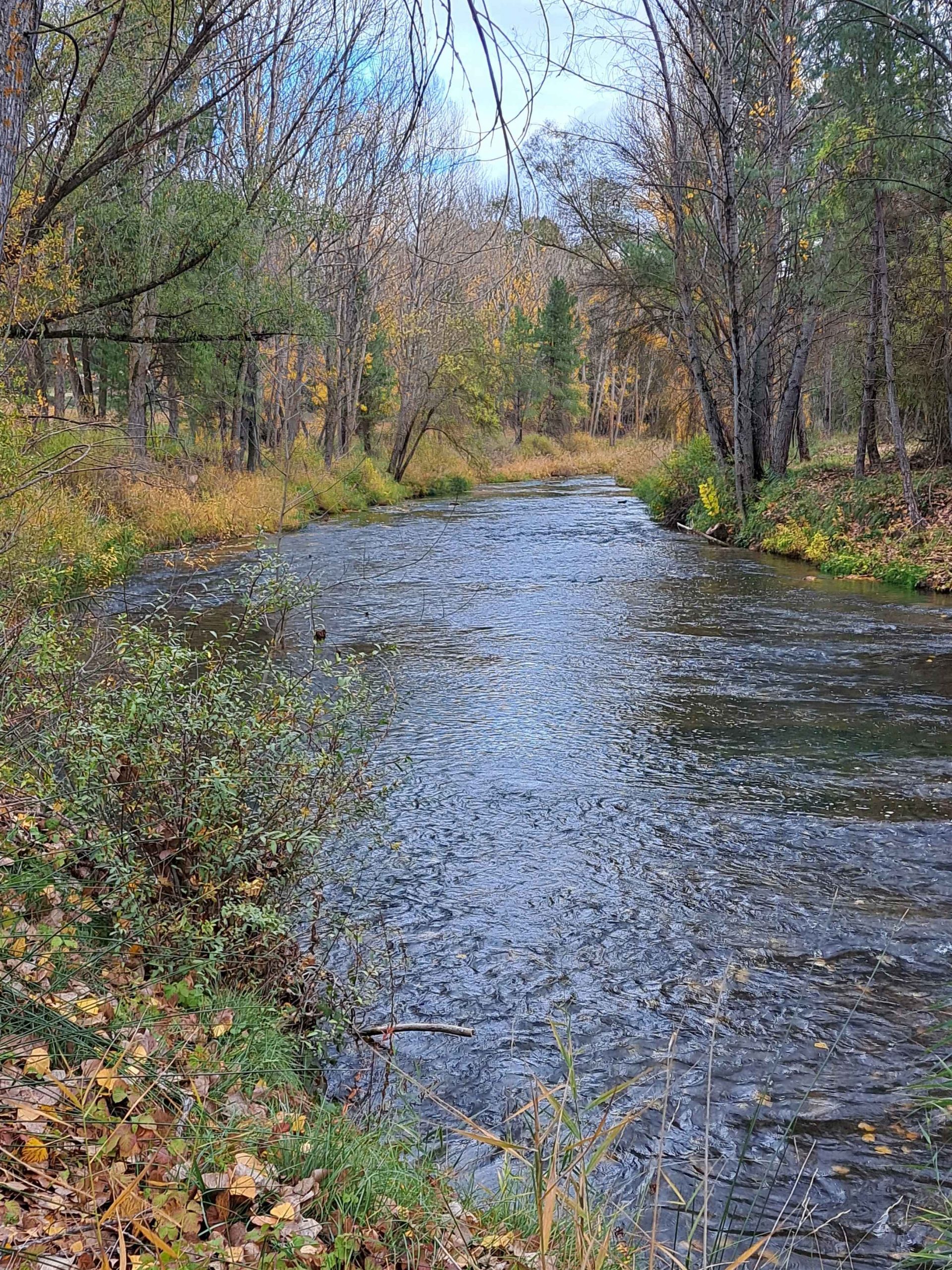 Diseño sin título (1) Diseño sin título (1)